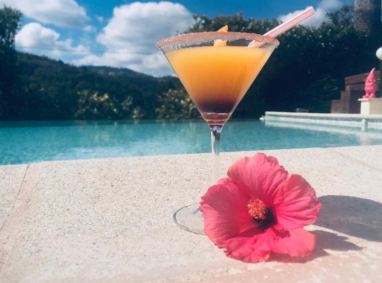 villa santa rita Auribeau-sur-Siagne Esterno foto